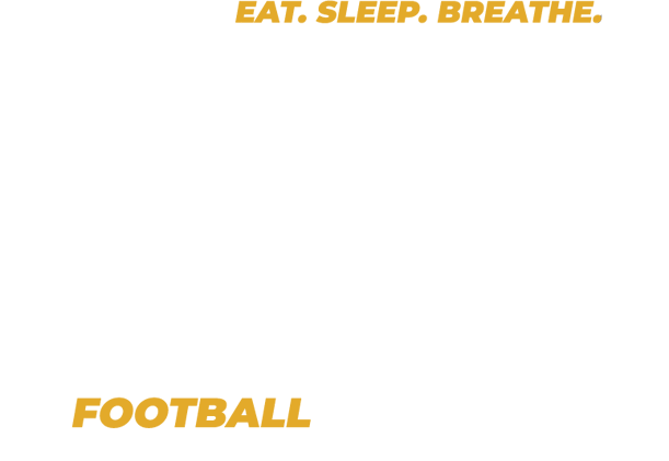 Logo Icon